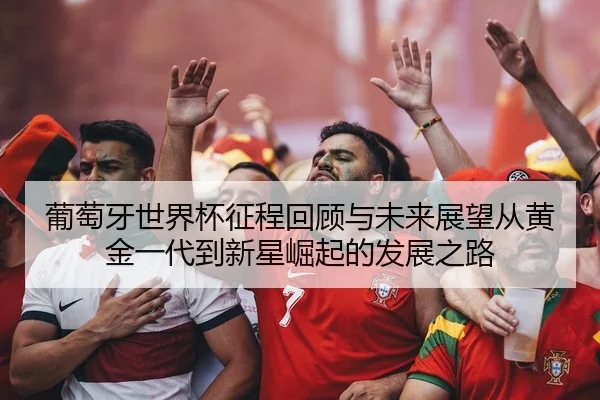 pu-tao-ya-shi-jie-bei-zheng-cheng-hui-gu-yu-wei-lai-zhan-wang-cong-huang-jin-yi-dai-dao-xin-xing-jue-qi-de-fa-zhan-zhi-2-464.jpg